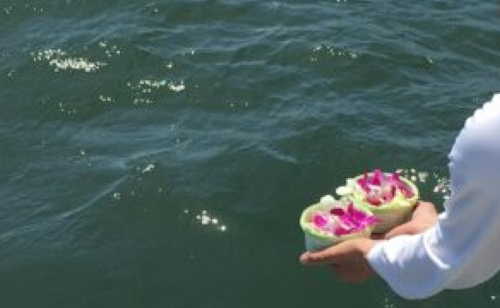 海洋への散骨イメージ